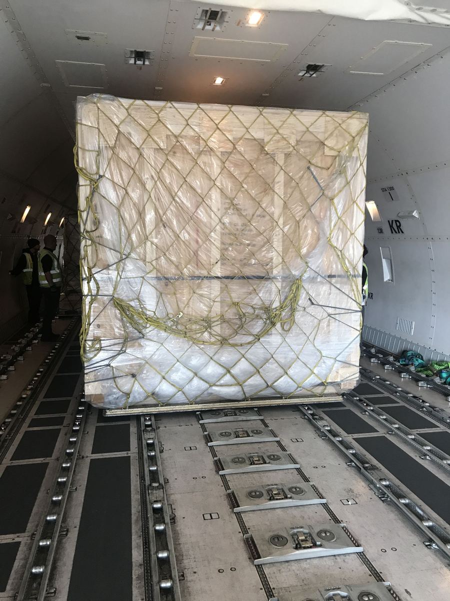 Netted pallet secured inside a freighter